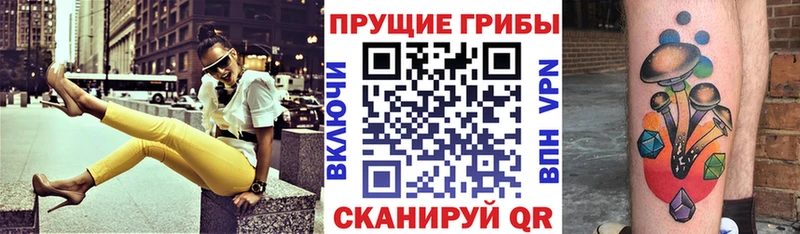 Галлюциногенные грибы мицелий  как найти наркотики  гидра tor  Реутов 