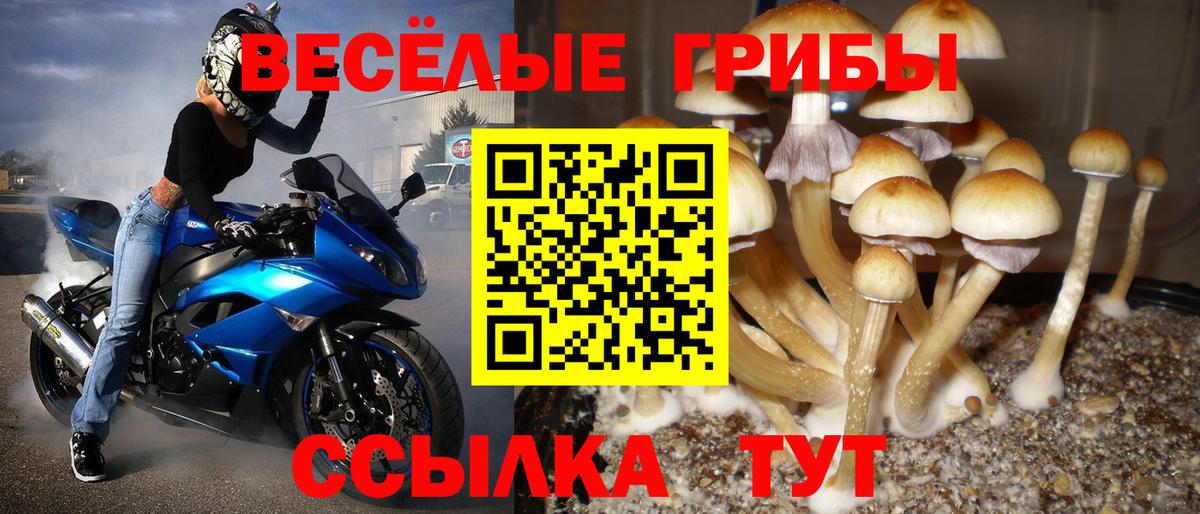 Псилоцибиновые грибы Psilocybine cubensis  Галлюциногенные грибы Psilocybe  Реутов  Вход с VPN 